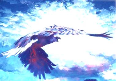 "The Eagle" - Nicola Simbari
